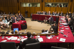 Farm Bureau Member Voices Input Cost Concerns to Senate Judiciary Committee 