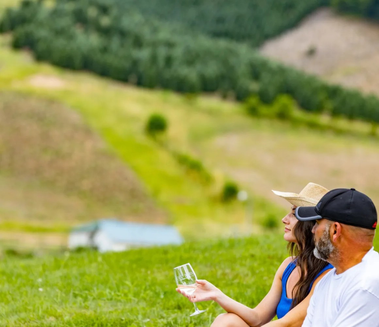 A new chapter for N.C. wine: Polk County’s first dedicated American Viticulture Area designation granted