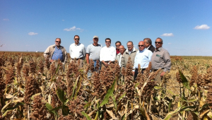 Sorghum Producers Take Trade Trip to Asia