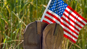  South Carolina Farmer wins the AFBF Veteran Farmer Award of Excellence