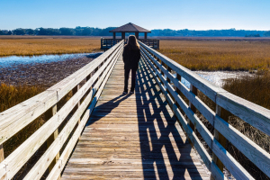 Updated WOTUS Rule Brings Long-Awaited Clarity for Farmers