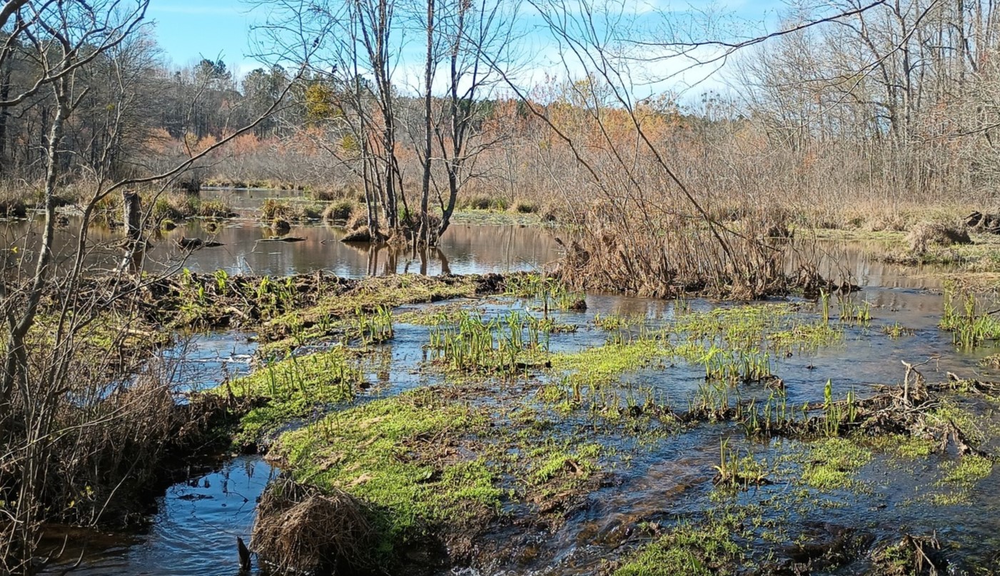 Wake County Commissioners Approve Master Plan for Lake Myra Park