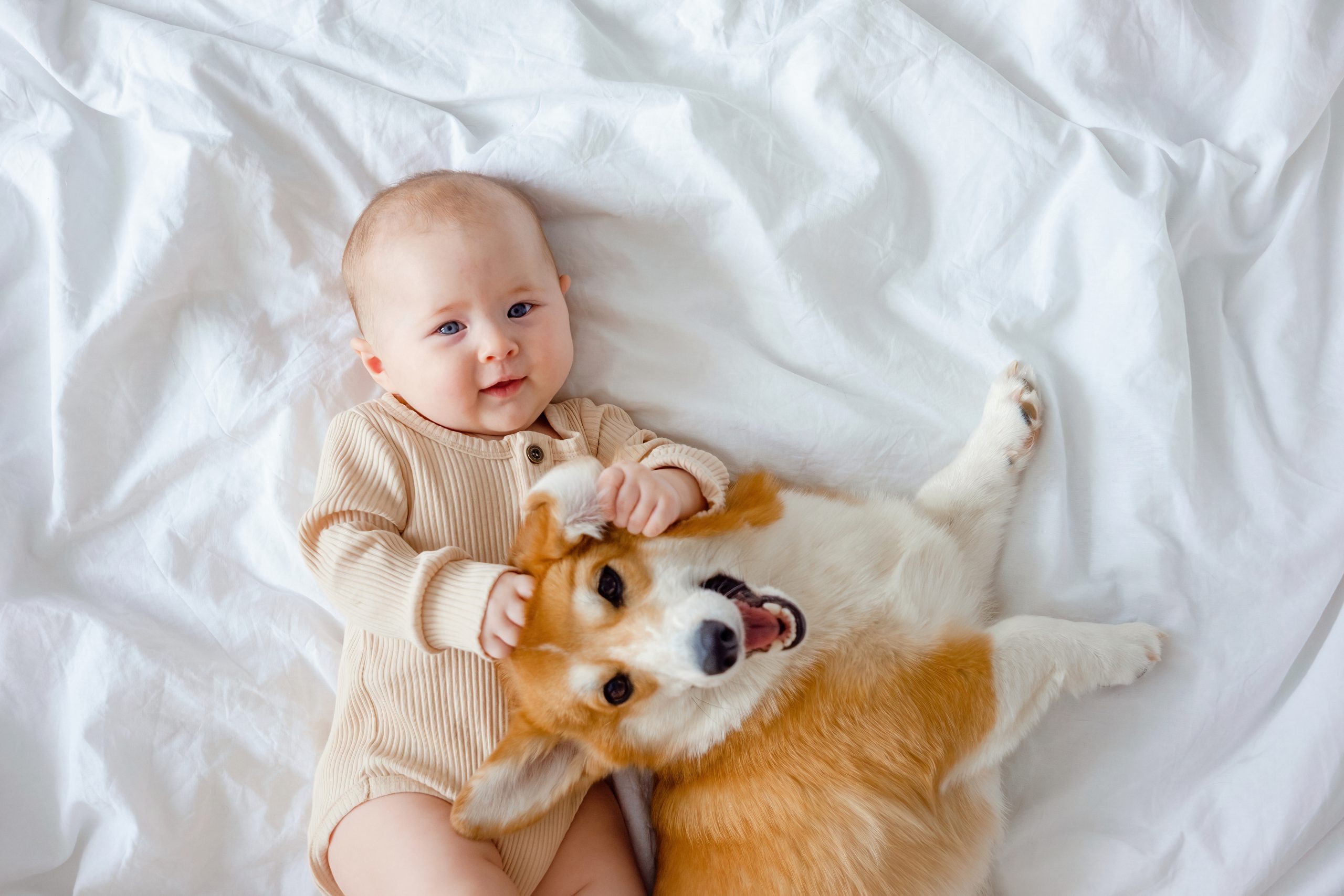 Your Baby and Your Dog