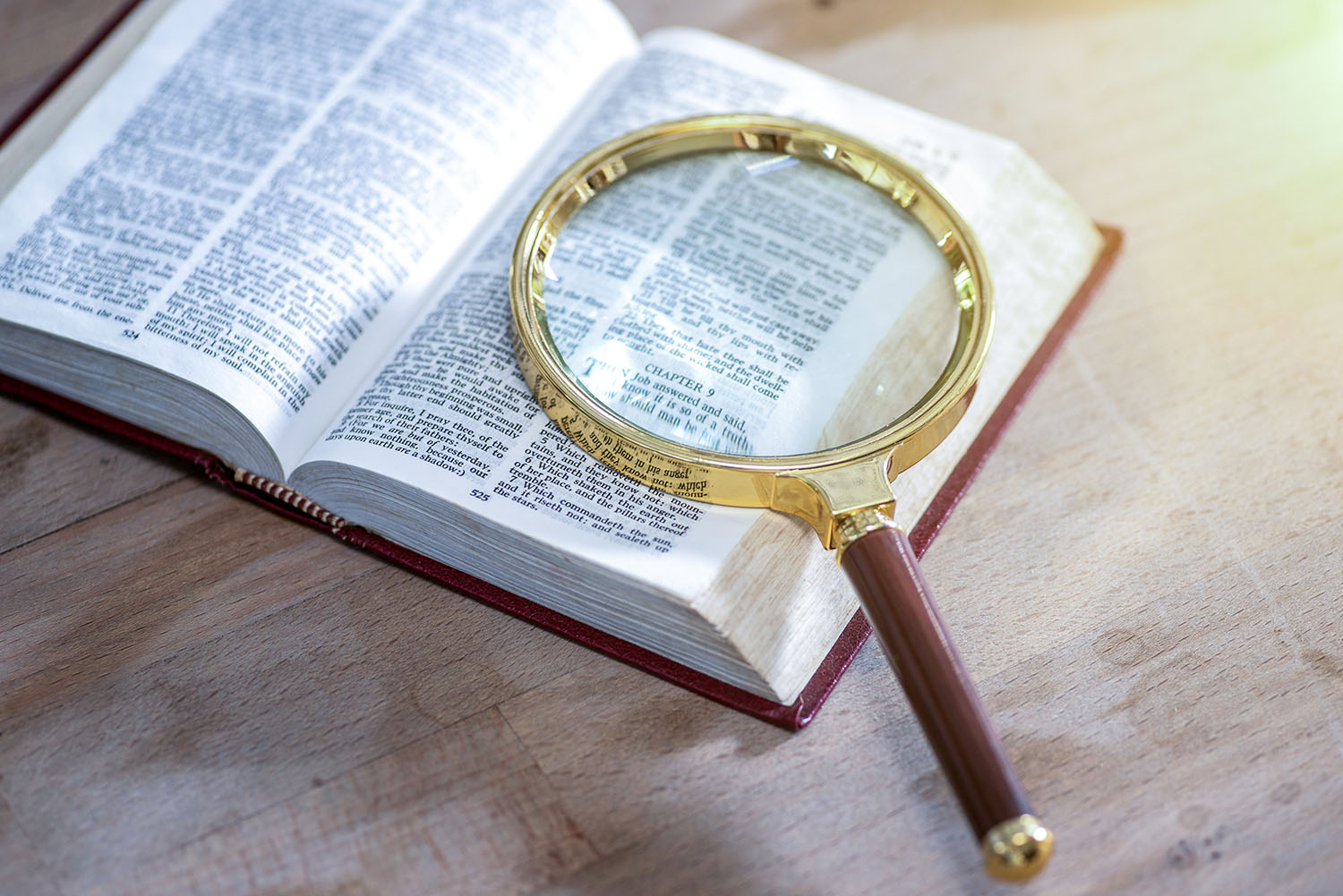 Cambridge Dictionary adds ‘skibidi’ and ‘tradwife’ among 6,000 new words