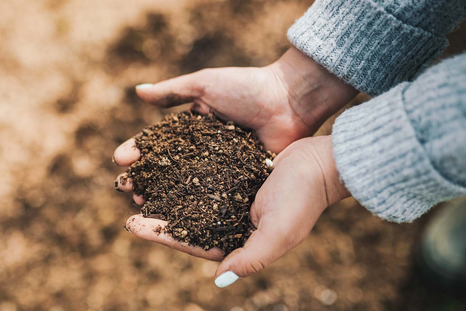 Composting Made Easy: Tips from the WPTF Weekend Gardener
