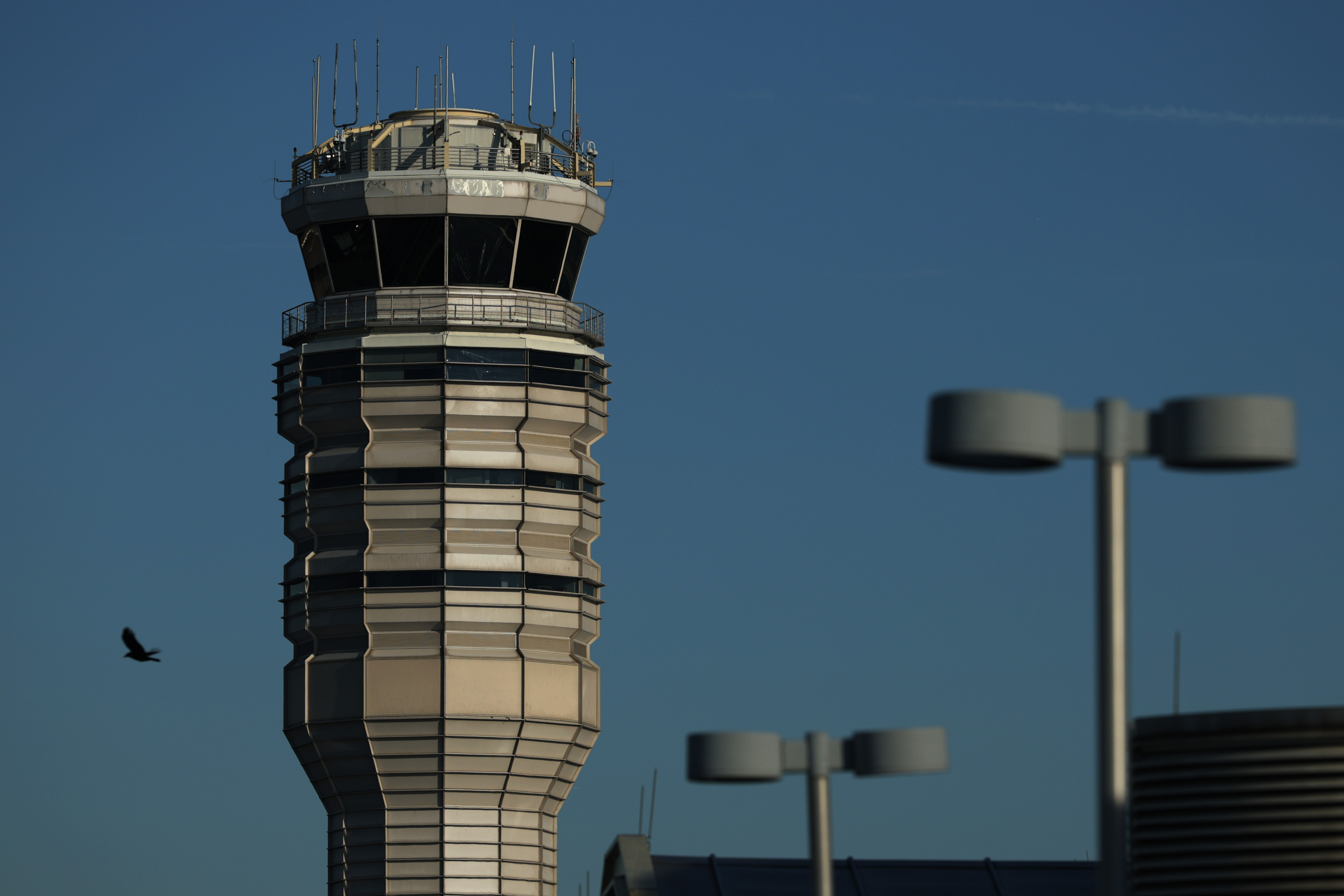 Flight disruptions continue as air traffic controllers brace for their first full missing paychecks