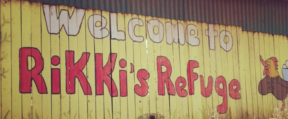 Rikki’s Refuge
