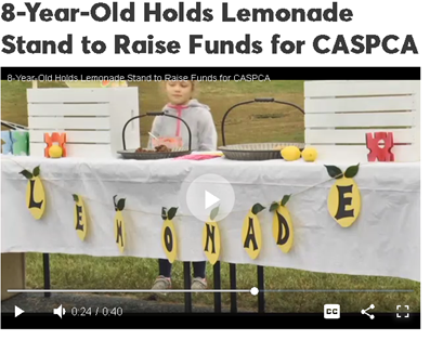 Abby Eichler a Stony Point Girl Raises $350 for CASPCA [video]