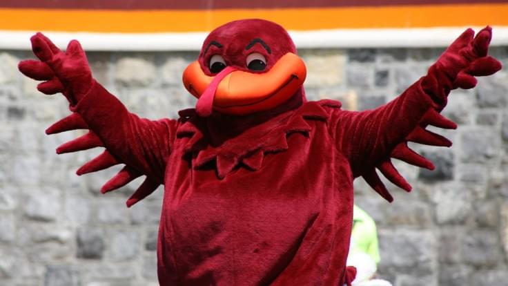 There is a Tech Lost Helpline for the Virginia Tech Fans That are Grieving [LISTEN/PARODY]