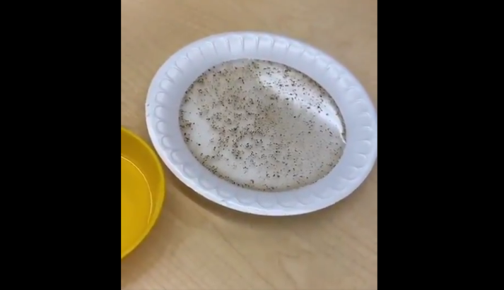 An Elementary School Classroom Experiment Shows Us the True Power of Soap [VIDEO]