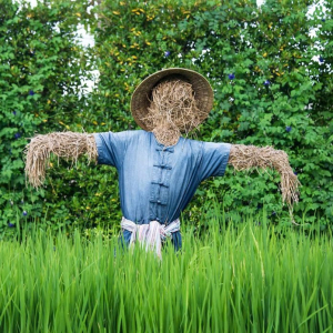 Staunton Parks and Recreation 4th Annual Scarecrows in the Park Build Off! – Sept 24th 9am-12pm