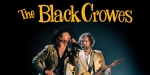THE BLACK CROWES- FRIDAY, SEPTEMBER 08- After Hours Concerts – The Meadow Event Park
