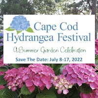 Cape Cod Hydrangea Festival 2022