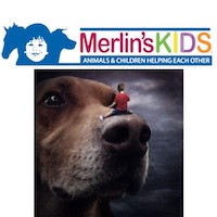 Merlin’s Kids to Benefit Local Boy With Special Needs