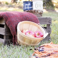 Apple Picking & Fall Activities this Season