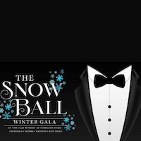 Snow Ball Winter Gala at 1620 Winery