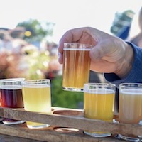 Local Beer Festivals