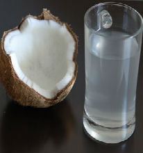 Te Gusta El Agua De Coco.