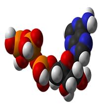 Consejos para Acelerar el Metabolismo