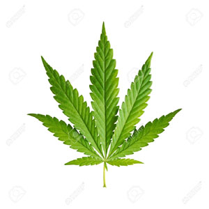 Fresno City Council moves toward legalizing medicinal marijuana