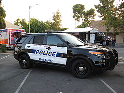 Female pedestrian dies in Bakersfield crash