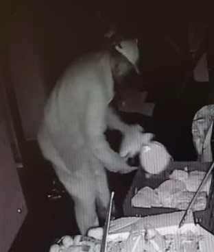 Bakersfield PD searching for burglary suspect