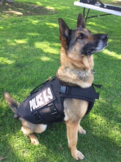 Bakersfield Police K9 officers get protective vests