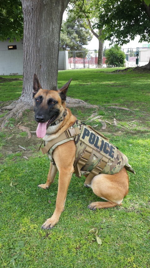 Bakersfield Police K9 officers get protective vests