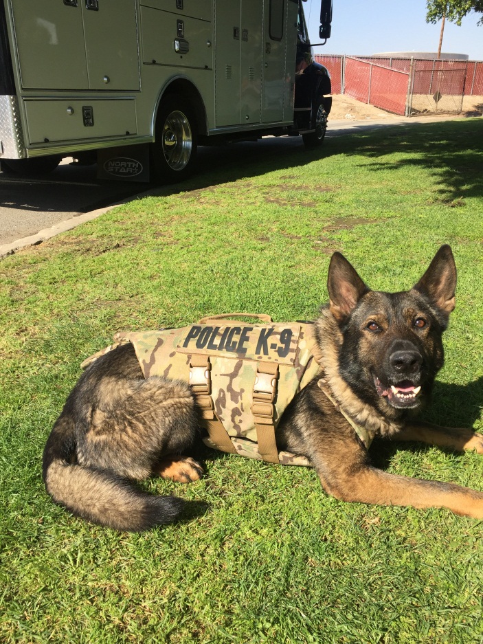 Bakersfield Police K9 officers get protective vests