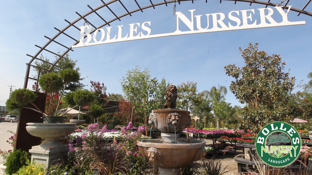 Bolles Nursery’s landscaping services aim to provide inspiration