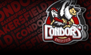 CONDORS GENERIC