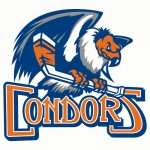 Condors 2015 Logo