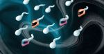 The teen founder turning male fertility into a sport 