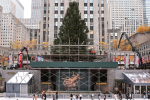 Prime number: NYC’s 75-foot Norway spruce