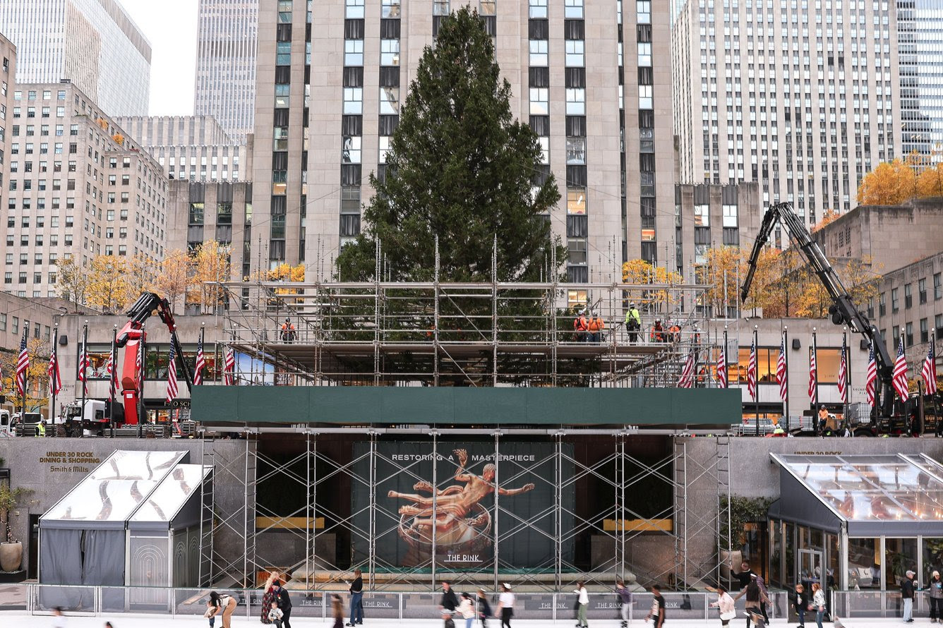 Prime number: NYC’s 75-foot Norway spruce