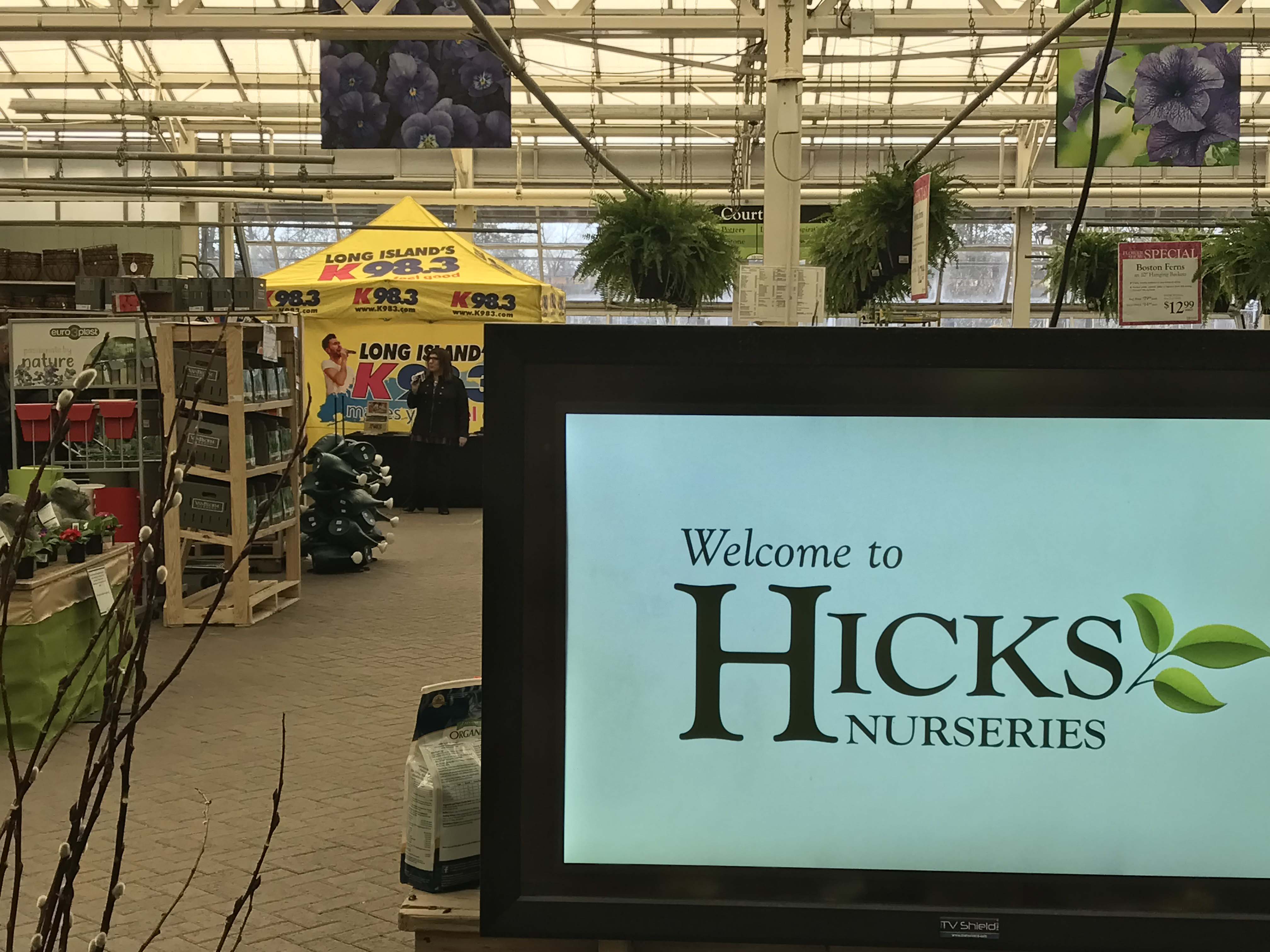 K98.3 @ Hicks Nurseries