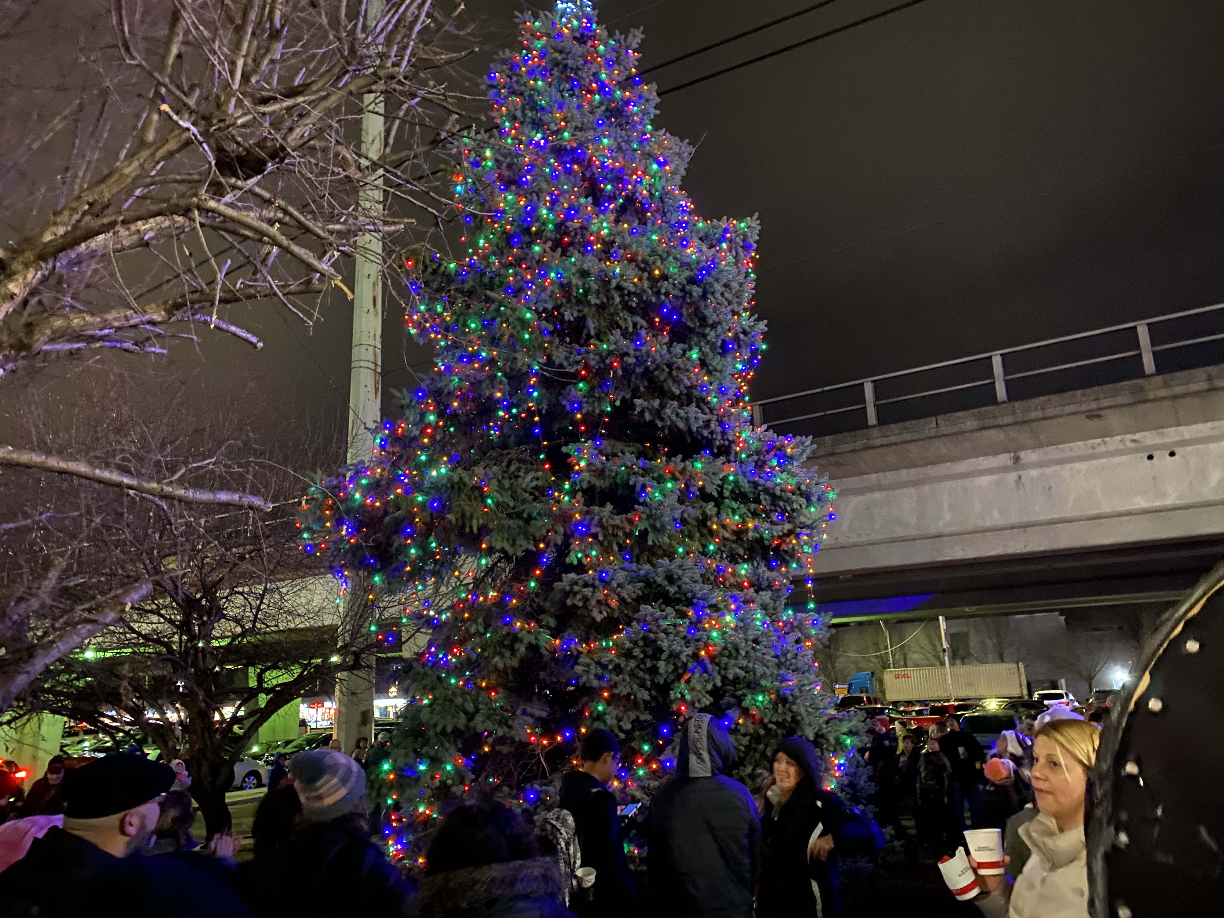 Bellmore Tree Lighting