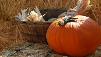 White Post Farms FALL FARM FESTIVAL 9/21 – 10/27