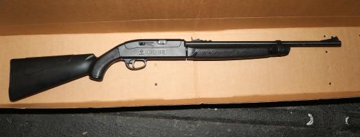 Police: Man Fatally Shot by Officers in Carle Place After Pointing Gun That Turned Out to Be a BB Gun Police: Man Fatally Shot by Officers in Carle Place After Pointing Gun That Turned Out to Be a BB Gun