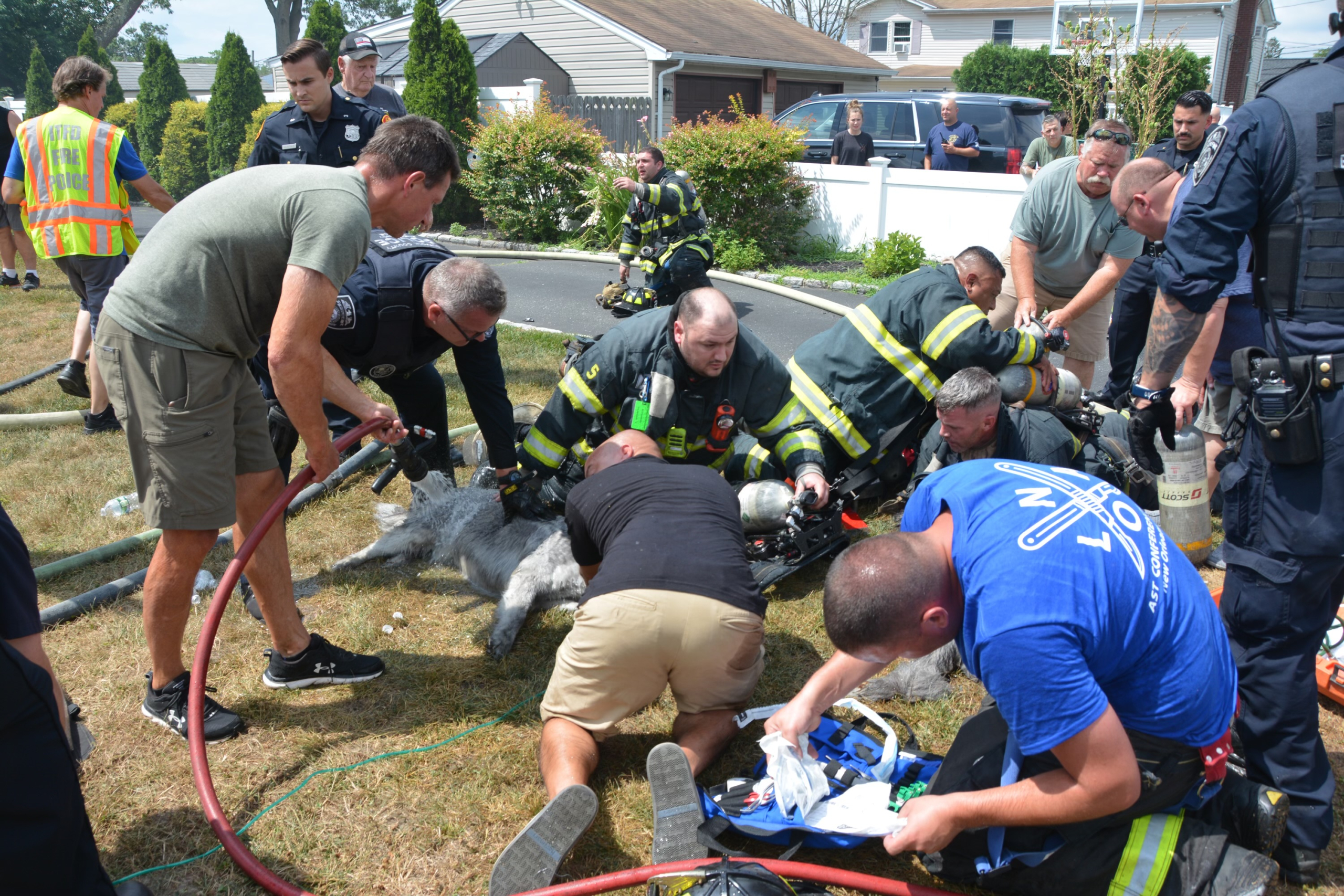 Woman and 3 dogs rescued from house fire