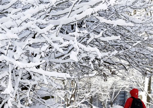 First snow storm of the year hits Long Island