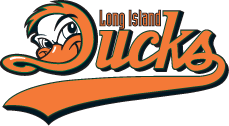 Ducks lose playoff opener