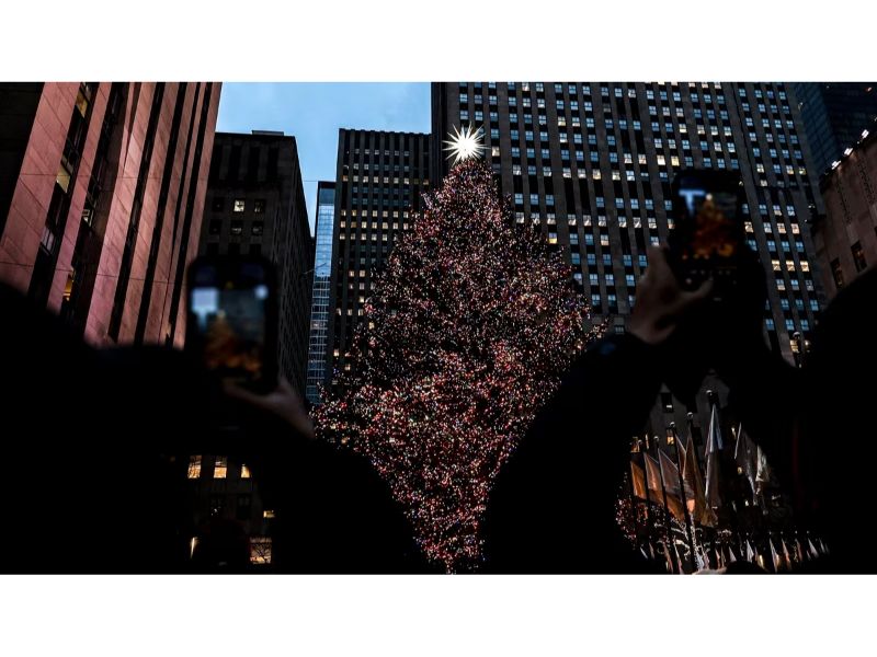 80-foot Norway spruce gets the nod as Rockefeller Center Christmas tree, will be cut down next week