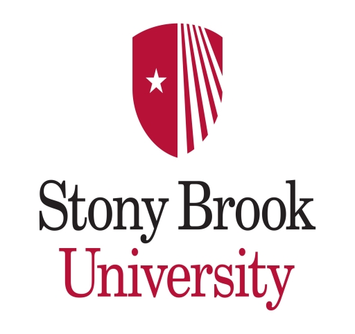 Stony Brook University names new interim president