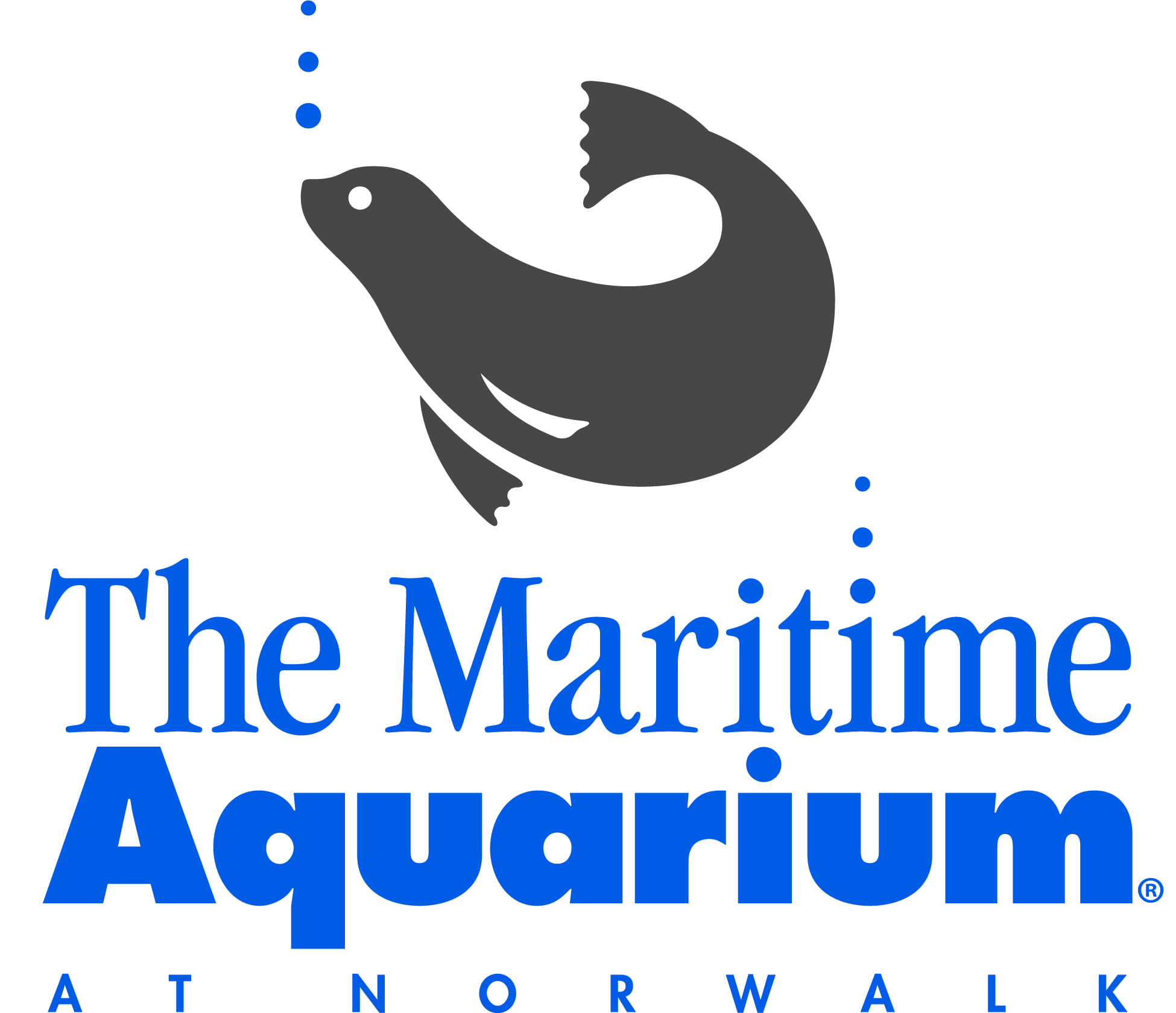 Star 99.9 at Maritime Aquarium’s Stuffed Animal CARE-ium