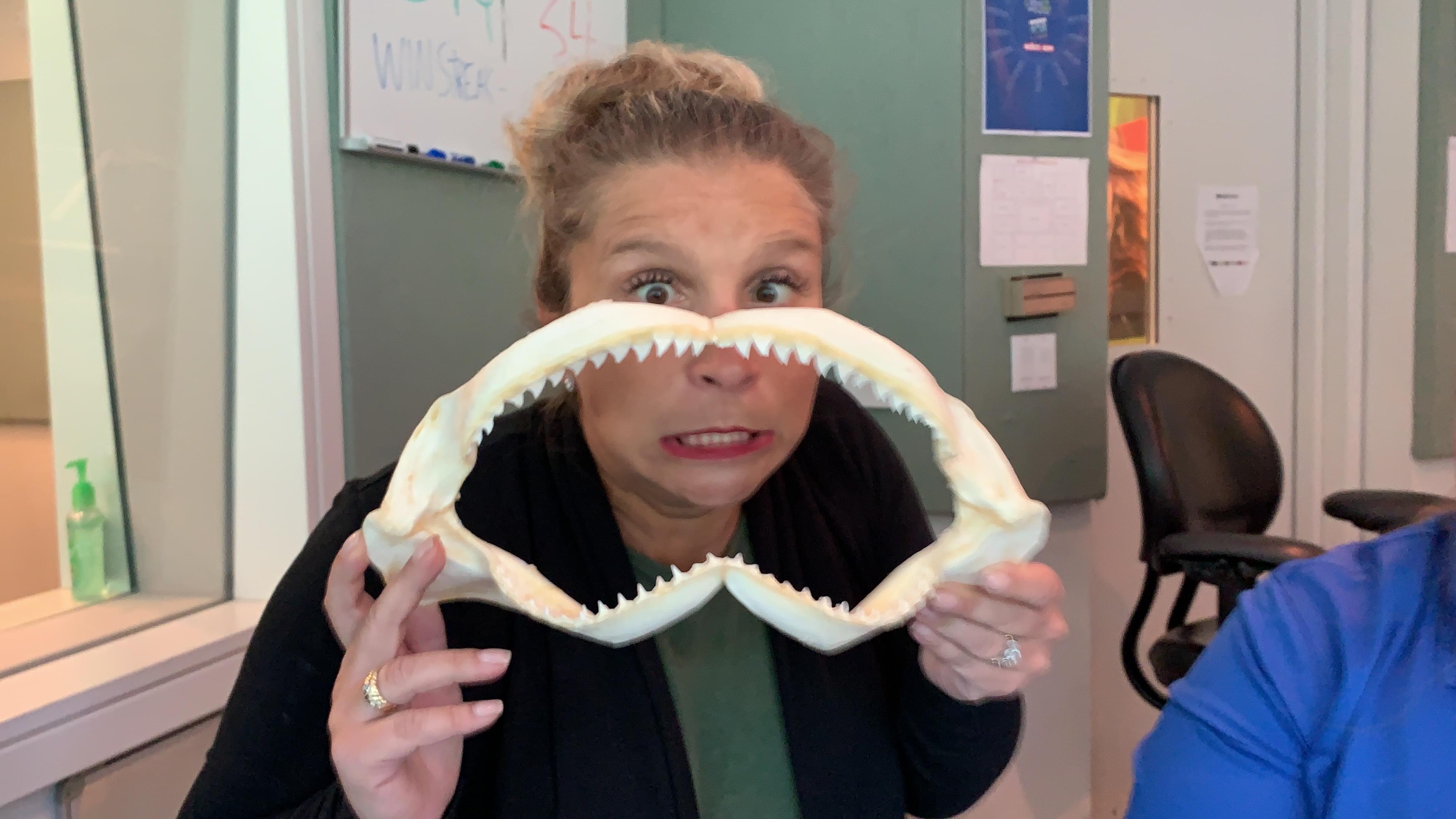 60 Seconds Behind the Scenes- Tina and Sandy from the Maritime Aquarium talk sharks!