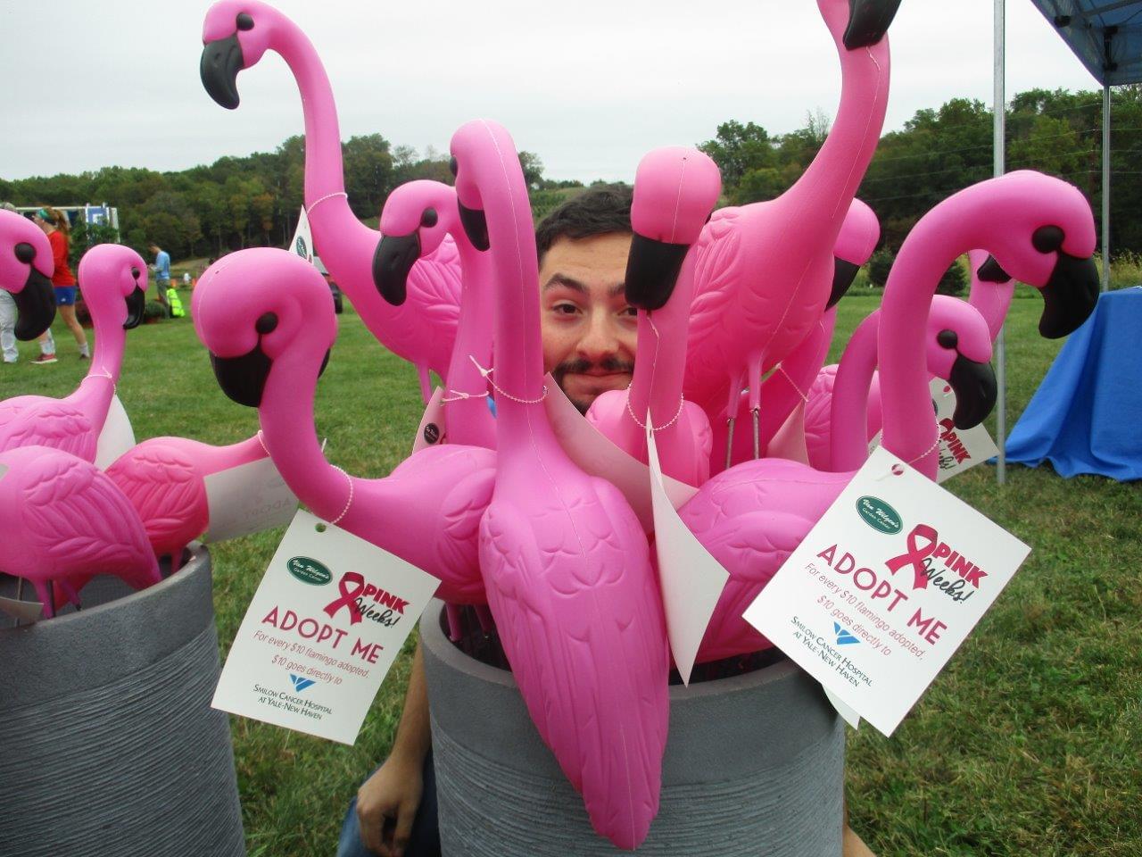 Flamingo 5K 10/6/19