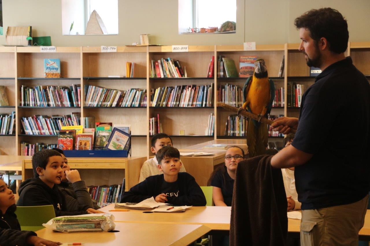 Star Homeroom Visit from the Beardsley Zoo