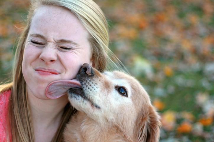 I Should Have Known That! Wednesday July 15: When Dogs Love Their Humans