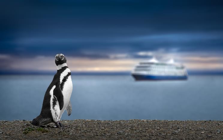 TELL ME SOMETHING GOOD: Vacationing Couple Capture Incredible Moment Between Penguin and Orcas On Video